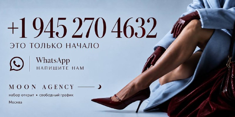 Вакансия в сфере досуга №27528. Название компании: MOON AGENCY. Сфера деятельности: эскорт, премиум-модели. Место работы: Россия, Москва. Заработная плата: от 1500000 рублей в месяц. Требования и условия: требуются девушки без опыта работы.