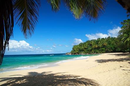 Работа для девушек на Гаити